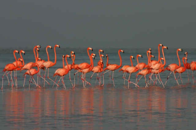 PLAYA CAMARONES TARDE DE RANCHERIA WAYUU